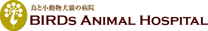 鳥と小動物犬猫の病院 バーズ動物病院