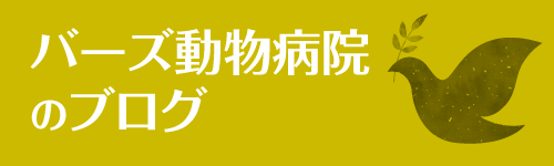 バーズ動物病院のブログ