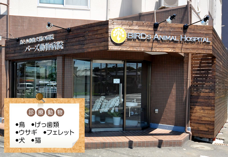 バーズ動物病院外観